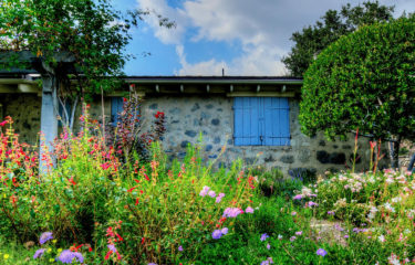 The Dooryard Garden