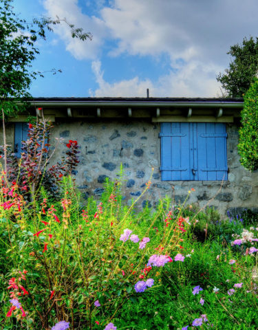 The Dooryard Garden